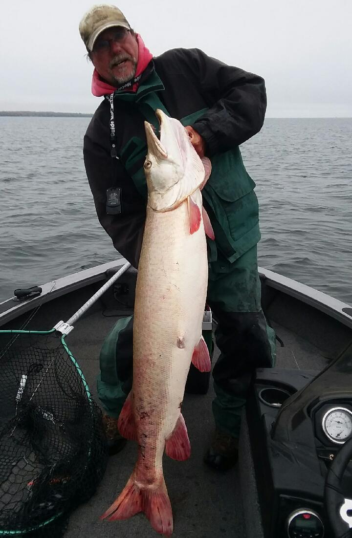muskie